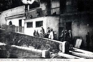 1548- Blida - Gorges de la Chiffa - Hotel du Ruisseau des Singes